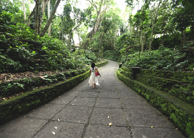 The first view of the Sacred Monkey Forest, Bali