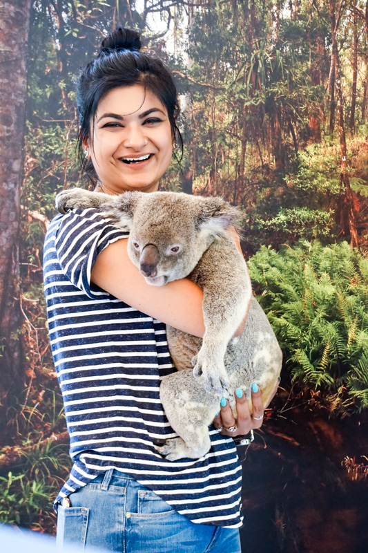 koala-hug-australia