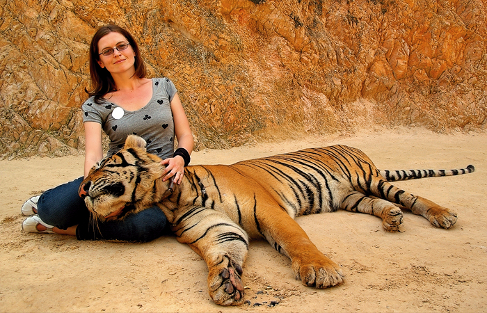 posing with the tigers